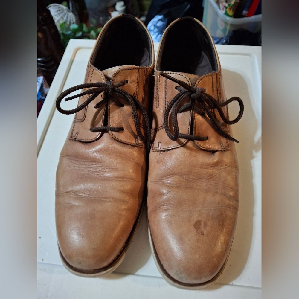 Rockport Tan Leather Derbys for Men